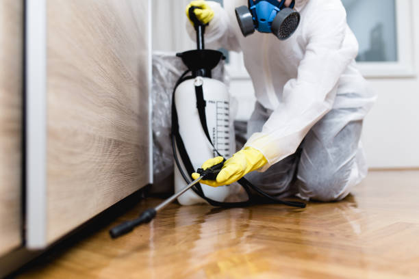 Best Emergency Pest Control  in Ridgely, MD