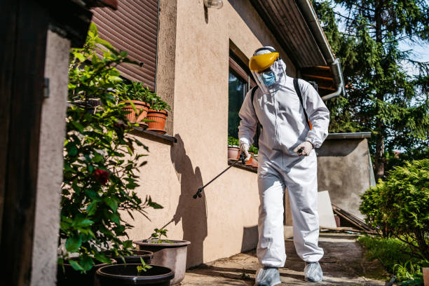 Best Bed Bug Extermination  in Ridgely, MD