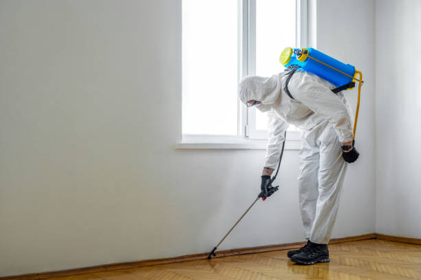 Pest Prevention Services in Ridgely, MD