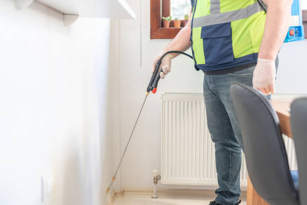 Wasp Removal Services in Ridgely, MD