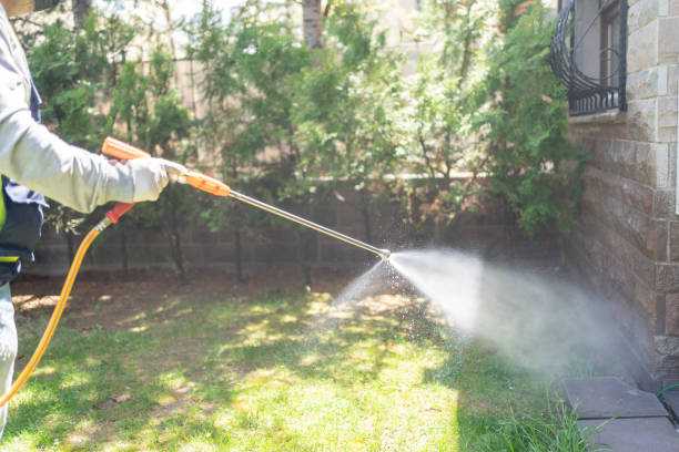 Best Rat Extermination Near Me  in Ridgely, MD