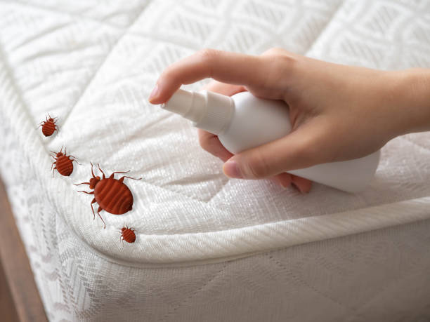 Best Insect Control  in Ridgely, MD