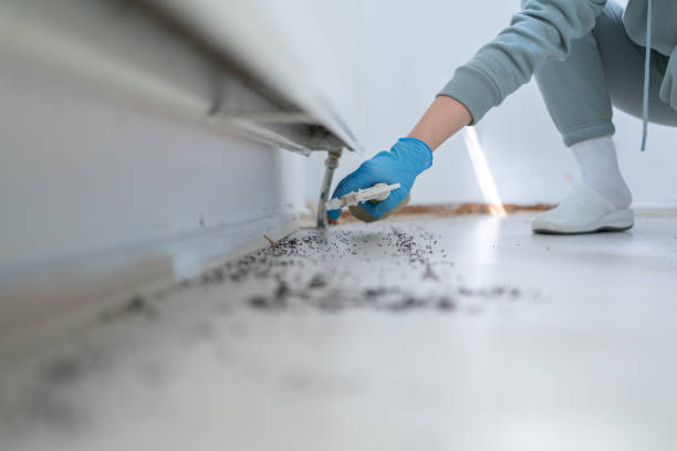 Best Commercial Pest Control Services  in Ridgely, MD