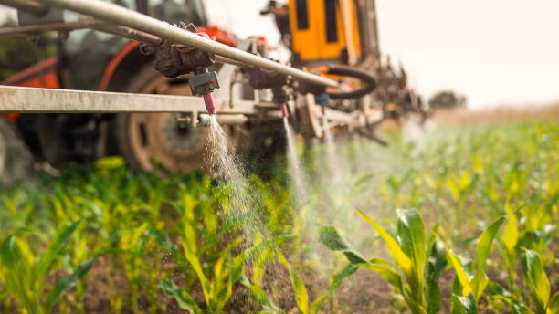 Best Pest Removal Services  in Ridgely, MD