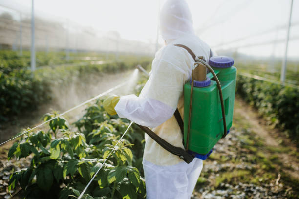 Best Flea Control Services  in Ridgely, MD